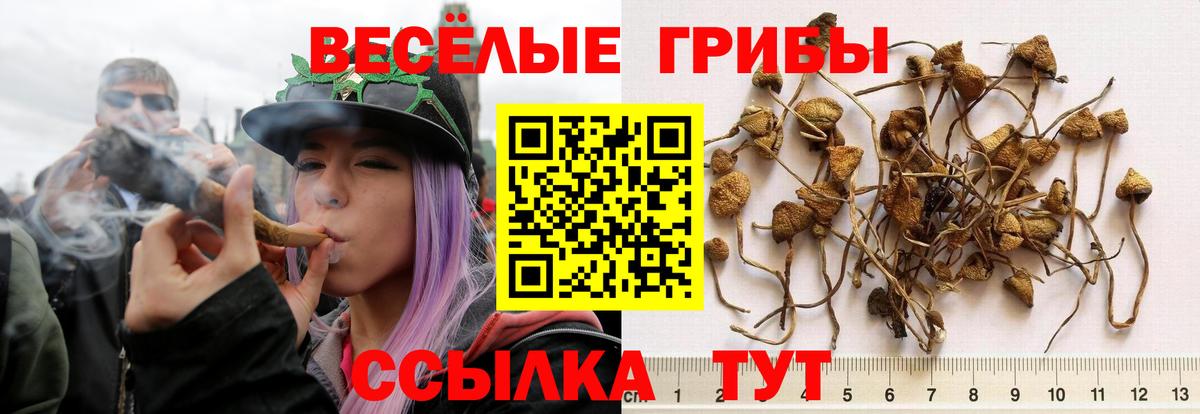 Галлюциногенные грибы Cubensis  дарнет шоп  Ростов Великий  Вход с VPN 